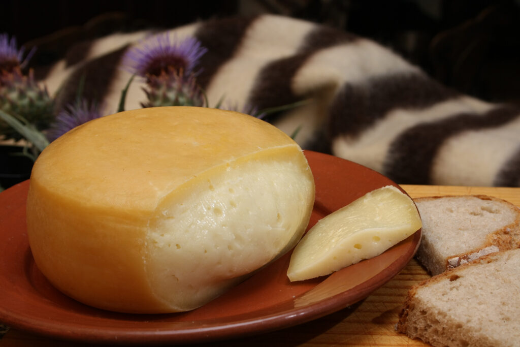 Celorico N17 queijo serra da estrela 2