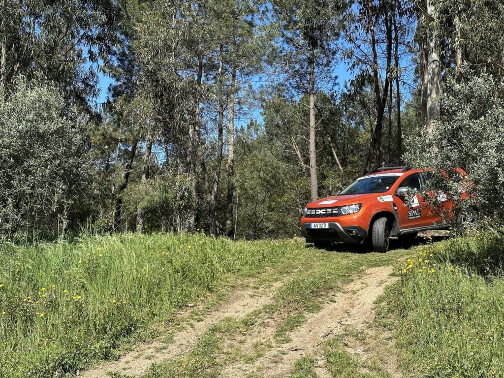 AVENTURA DACIA 2023 REC02 04 23 LC 21