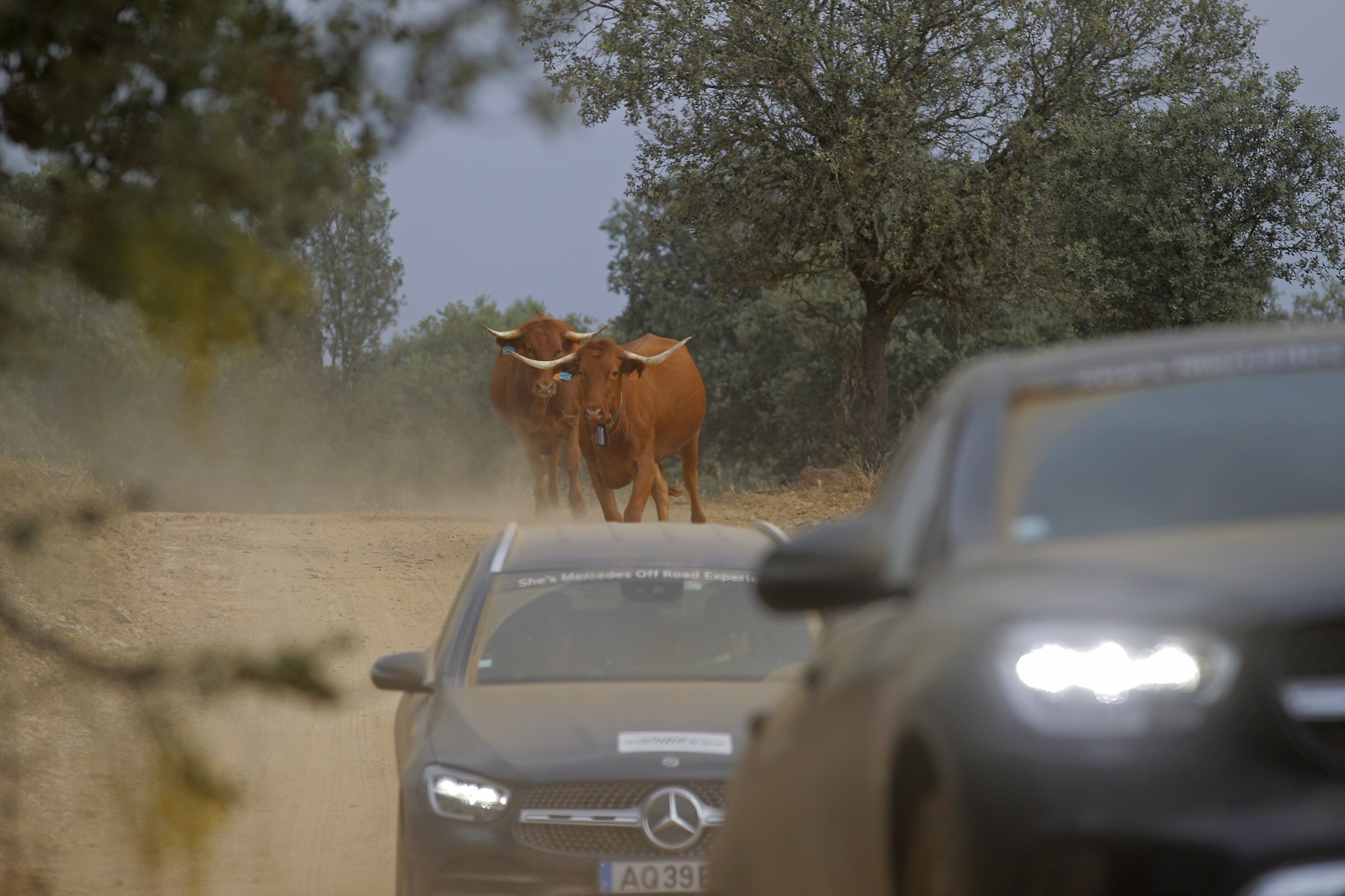 Shes Mercedes Offroad Experience 2023 0874