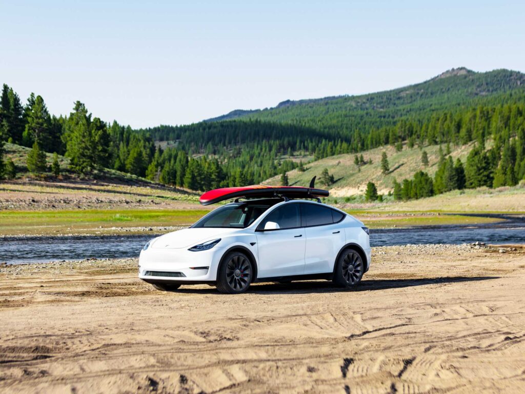 TESLA MODELY 1