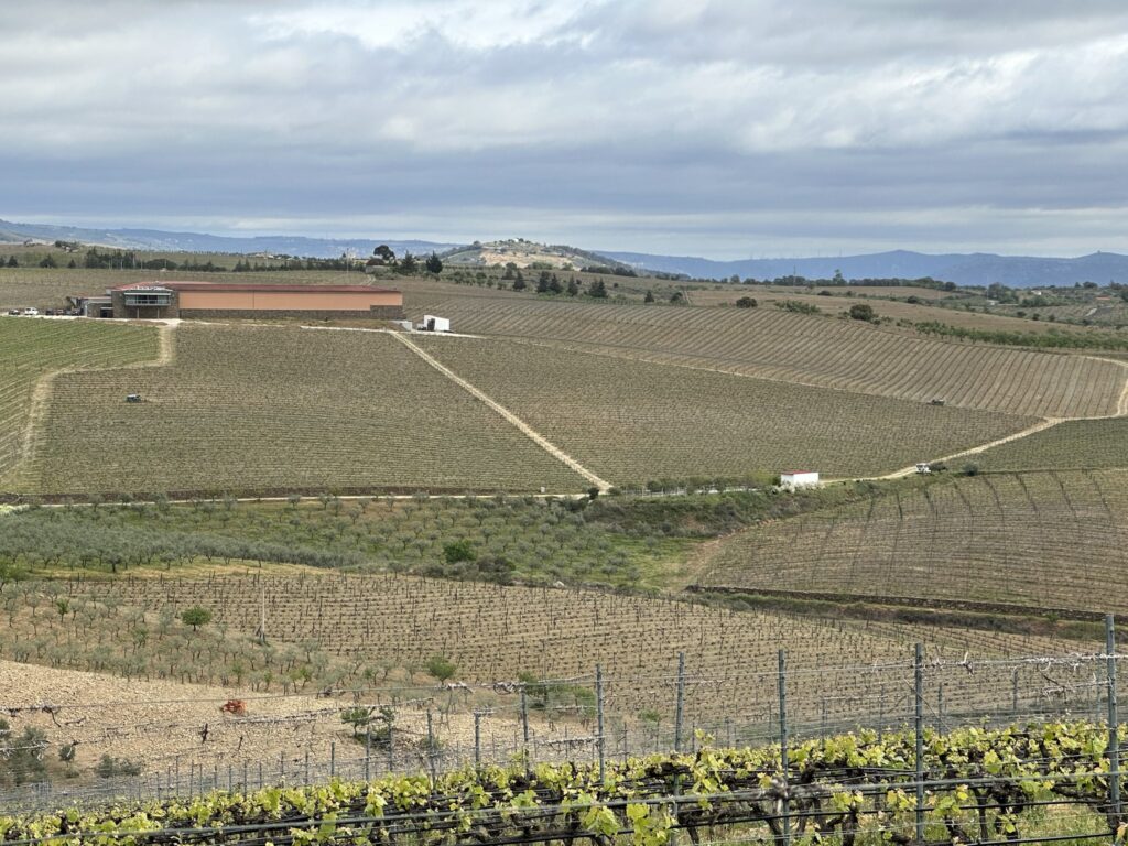 TT DOURO CIDADE EUROPEIA DO VINHO 2023 REC04 23LC 18