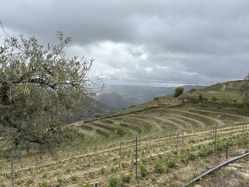 TT DOURO CIDADE EUROPEIA DO VINHO 2023 REC04 23LC 57