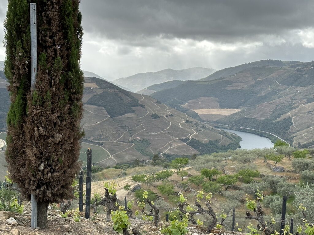 TT DOURO CIDADE EUROPEIA DO VINHO 2023 REC04 23LC 59