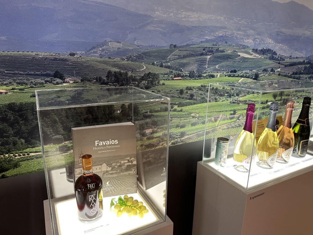 TT DOURO CIDADE EUROPEIA DO VINHO 2023 REC05 23LC 1