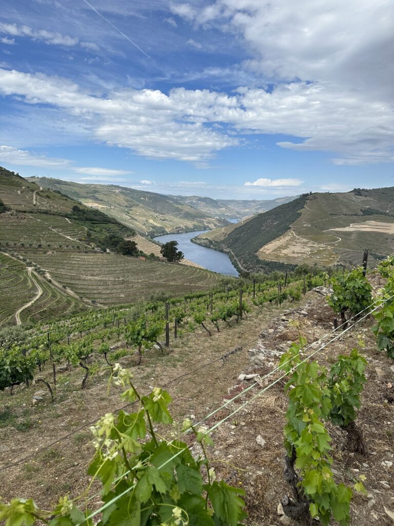 TT DOURO CIDADE EUROPEIA DO VINHO 2023 REC05 23LC 30