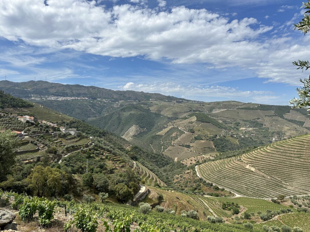 TT DOURO CIDADE EUROPEIA DO VINHO 2023 REC05 23LC 31