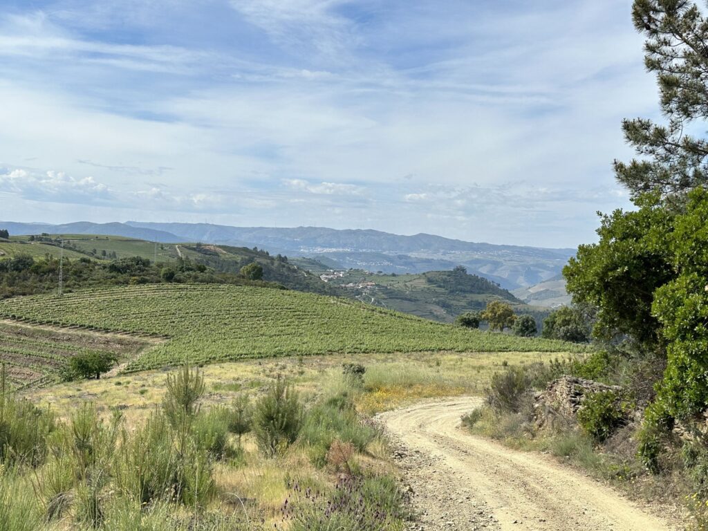TT DOURO CIDADE EUROPEIA DO VINHO 2023 REC05 23LC 5