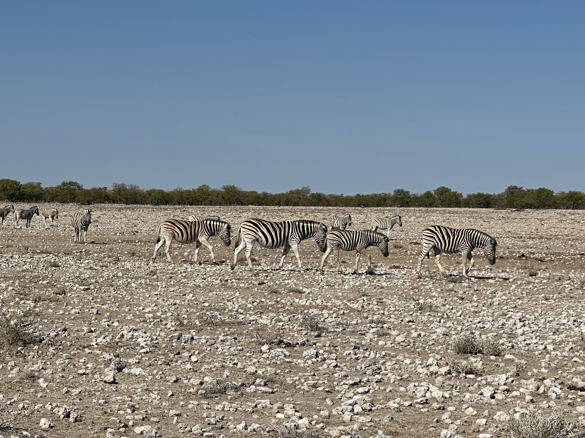 EXPEDICAO NAMIBIA ESCAPE LIVRE 2023 1730