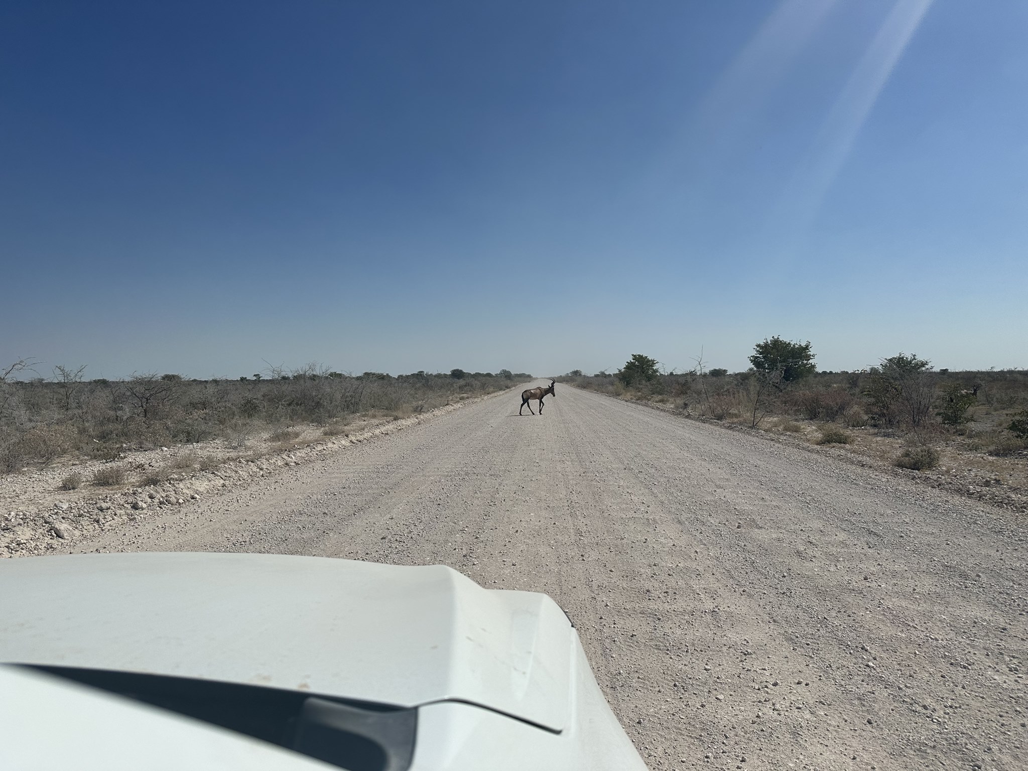 EXPEDICAO NAMIBIA ESCAPE LIVRE 2023 1765