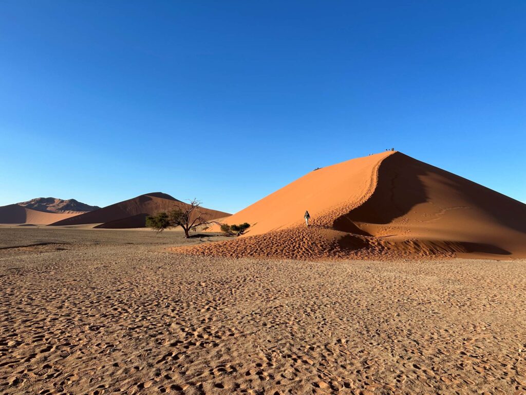 EXPEDICAO NAMIBIA ESCAPE LIVRE 2023 509