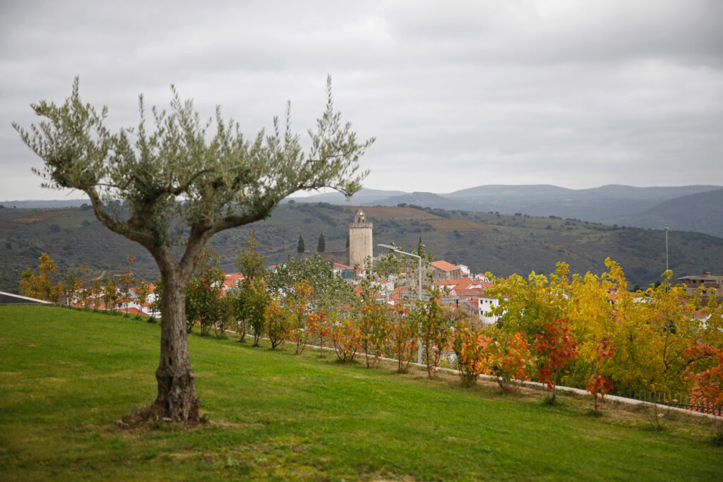 TT Douro Cidade Europeia Vinho 0004