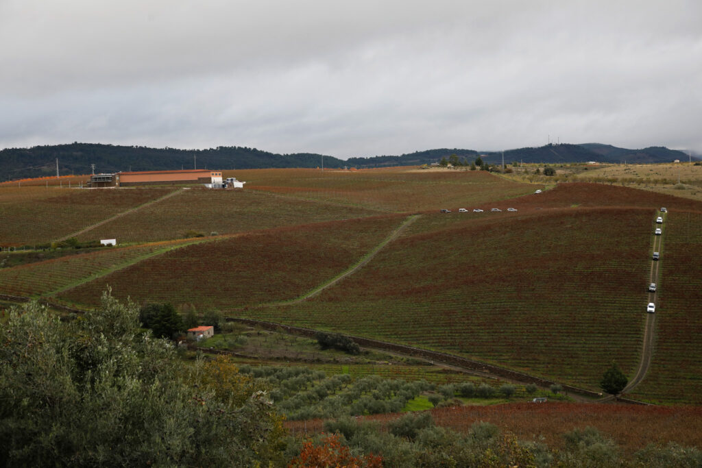 TT Douro Cidade Europeia Vinho 0164