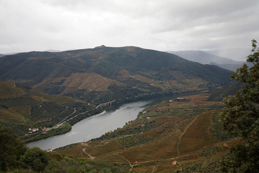 TT Douro Cidade Europeia Vinho 0315