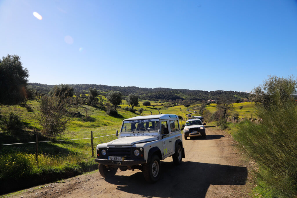 75 Land Rover 75 2023 57