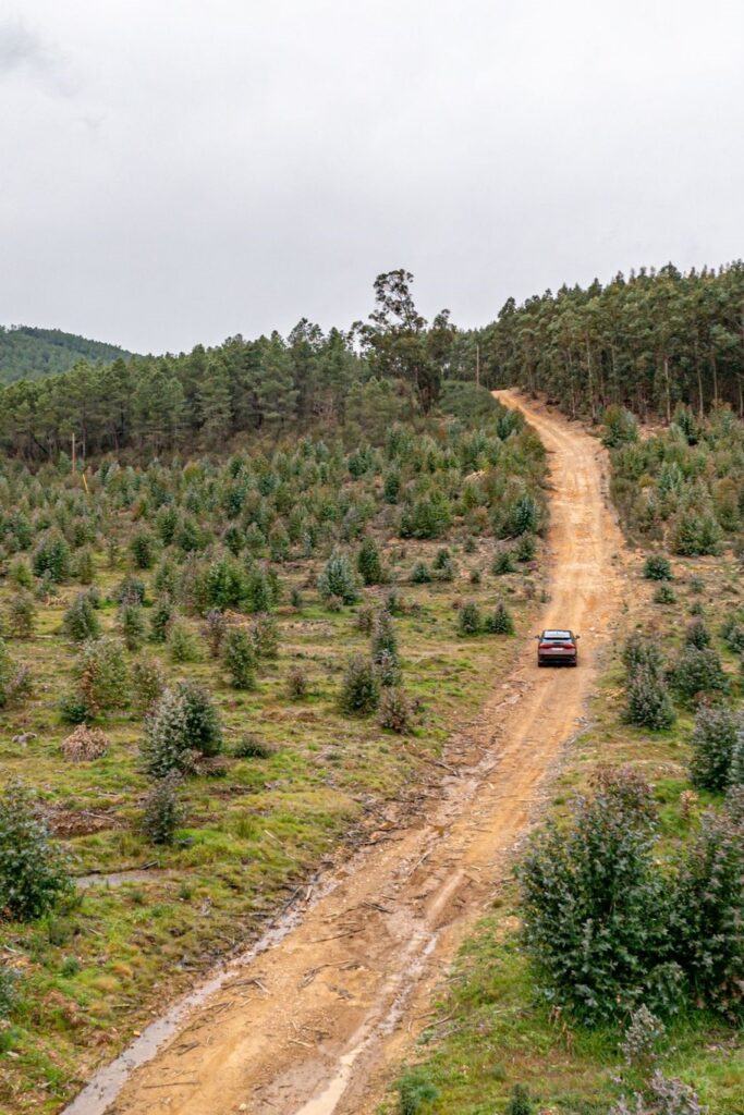 Roteiro Penamacor Nissan Ariya 54